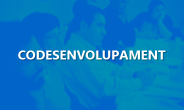 Curs de codesenvolupament