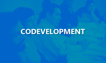 Curs de codesenvolupament